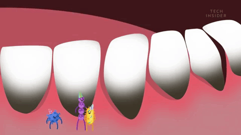 Picture 3 of What happens if you stop brushing your teeth?