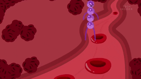 Picture 4 of What happens if you stop brushing your teeth?