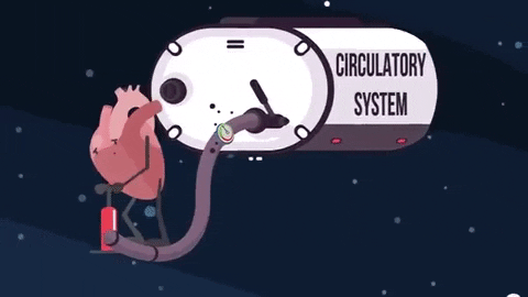 Picture 3 of What happens when you are accidentally thrown into space?
