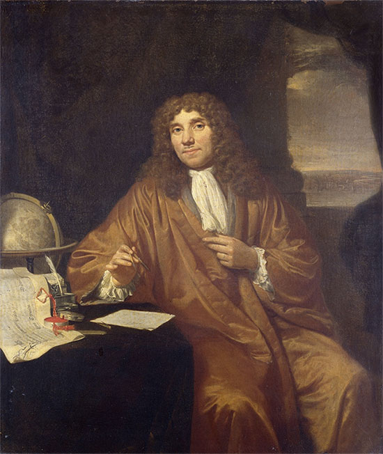 Picture 2 of Who was the first to discover sperm?