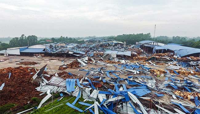 Why did cyclone swept away a wood workshop in Vinh Phuc in 5 minutes? Picture 2