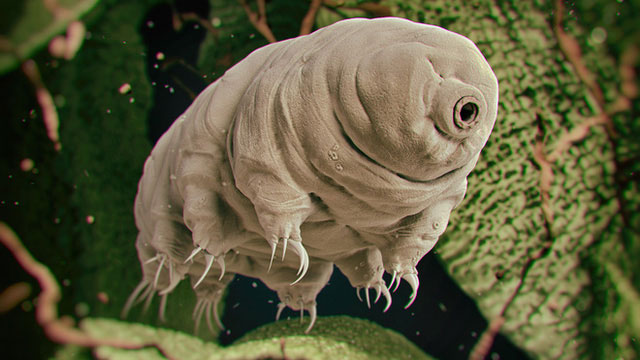 Picture 2 of Why do humans need to breed with 'immortal creatures' if they want to live on Mars?