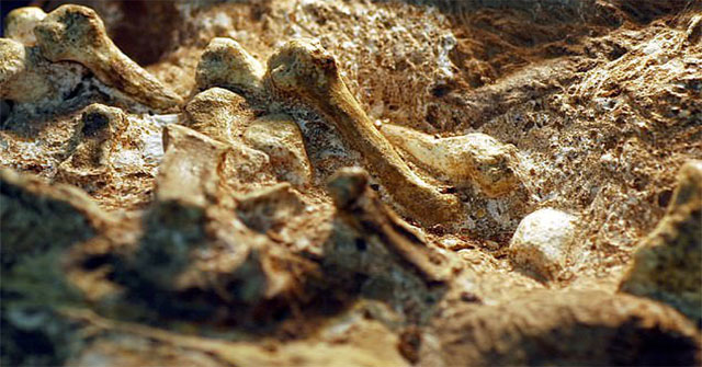 2 million-year-old mysterious creature carries 'human hand'
