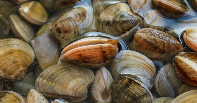 5 foods if you 'forget' blanching before cooking is like swallowing poison