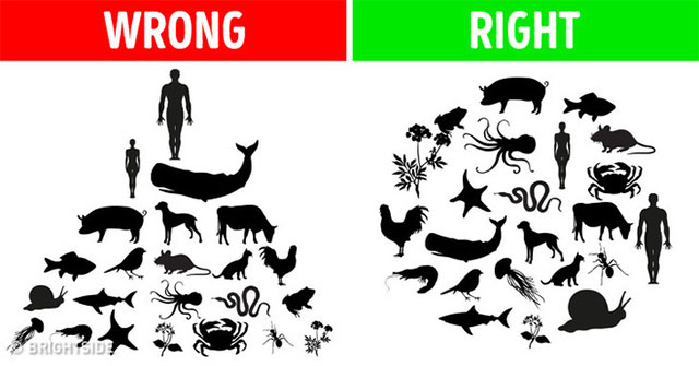 8 misconceptions are ingrained in human consciousness, even included in textbooks
