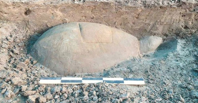 A one-meter-long statue of a turtle sunk beneath a reservoir