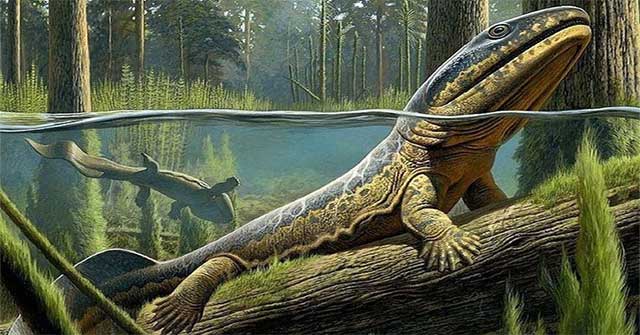 Ancient fish revealed the mystery of the origin of the human finger