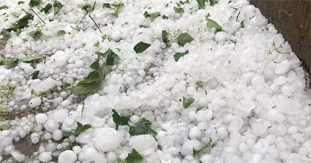 Close-up of hail-like hail destroyed many houses in Nghe An
