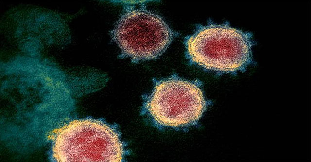 Dangerous tentacles found in the structure of the virus causing Covid-19