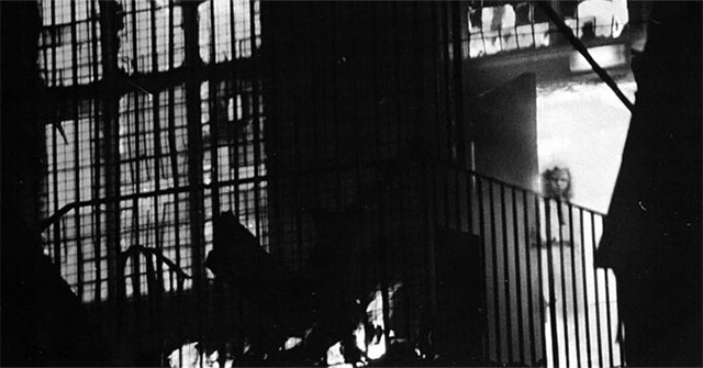 Decipher the mystery of the ghost girl image