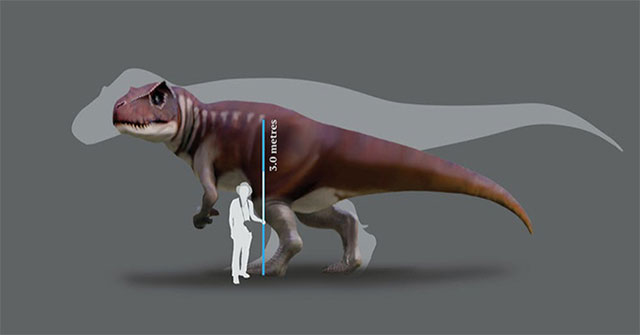 Discovered an 80cm long 'monstrous dragon' footprint in Australia