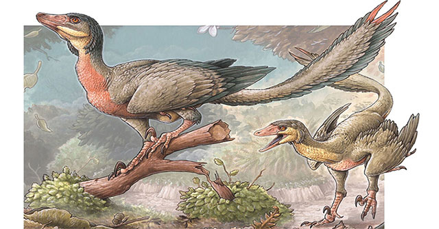 Discovered new carnivorous dinosaurs