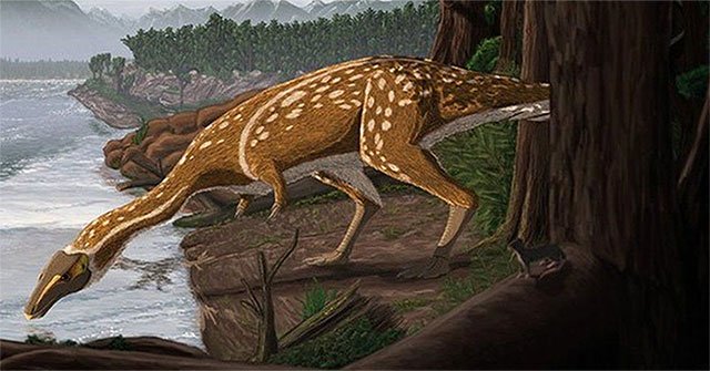 Discovered super rare fossils of long-necked dinosaurs related to T-rex