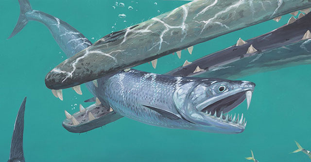 Discovered 'vampire fish' with bizarre teeth