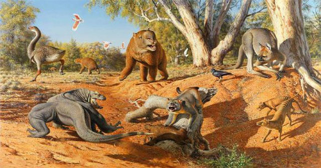 Extreme climate extinct giant fauna in Australia and New Guinea