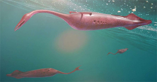 Find out the answer to the mystery of ancient Tully monsters