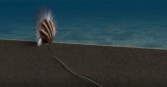 Fossil evidence for a parasitic-host relationship