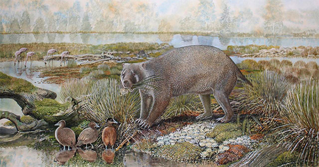 Fossils reveal giant marsupials