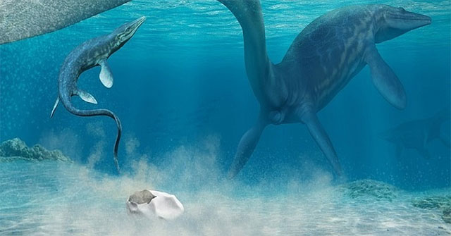 Found the world's largest reptile egg fossil