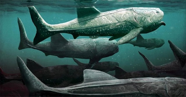 Giant armored fish specializing in open mouth waiting for bait