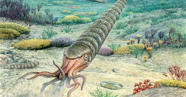 Giant volcano erased life on Earth