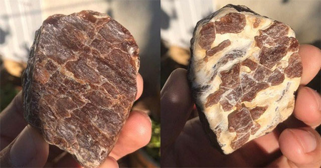 How has nature fooled humans?