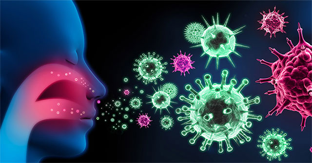 How the influenza virus works