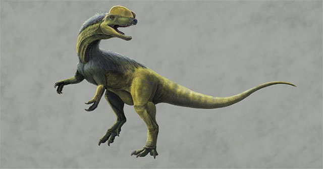 Jurassic dinosaur vestige found in southwestern China