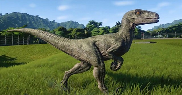 Jurassic Park movie was wrong: Velociraptor dinosaurs didn't hunt in groups