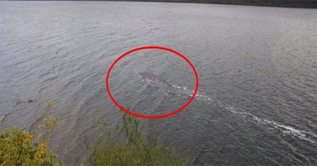 Loch Ness Monster returns?