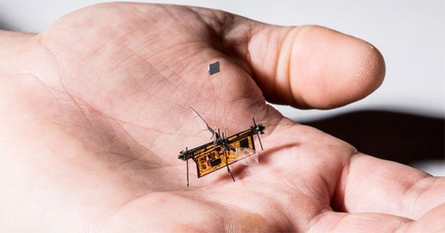 Marvel at the mini robots that can perform complex tasks