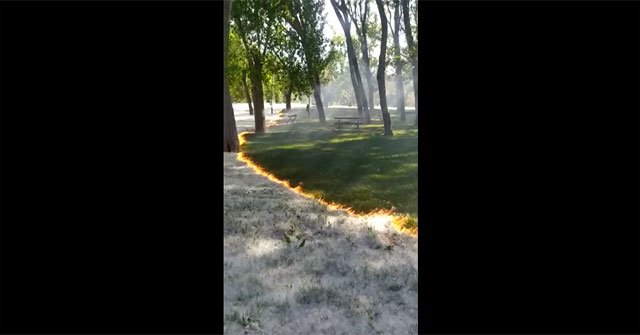 Mysterious flames appear in the park in Spain
