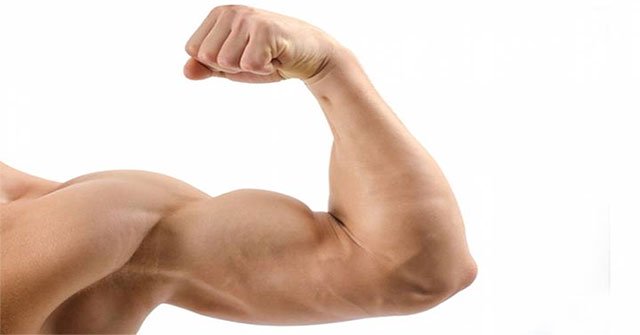 New gene therapy discovered to reduce fat and gain muscle