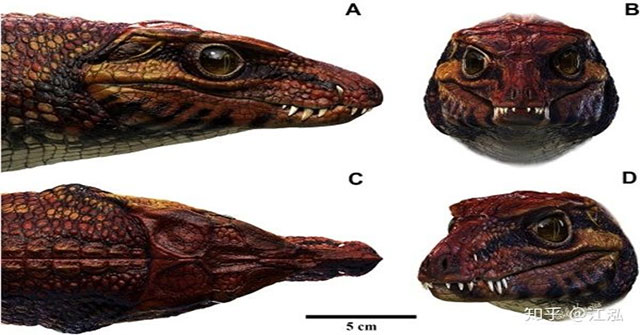 Paleontologists discovered the most 'repetitive' reptile in the Cretaceous period