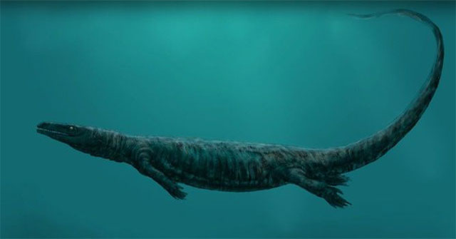 Pannoniasaurus: The monster is 6 meters long in the fresh water of Hungary