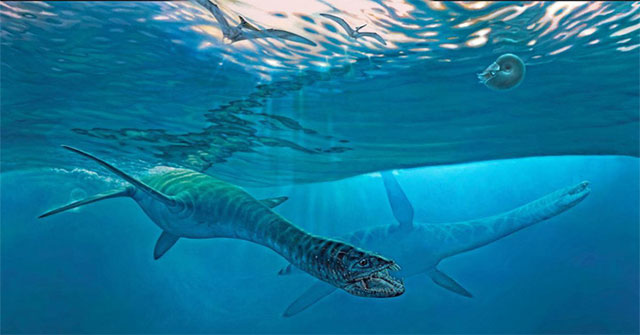 Prehistoric snake neck lizards have similar diving abilities to modern sperm whales