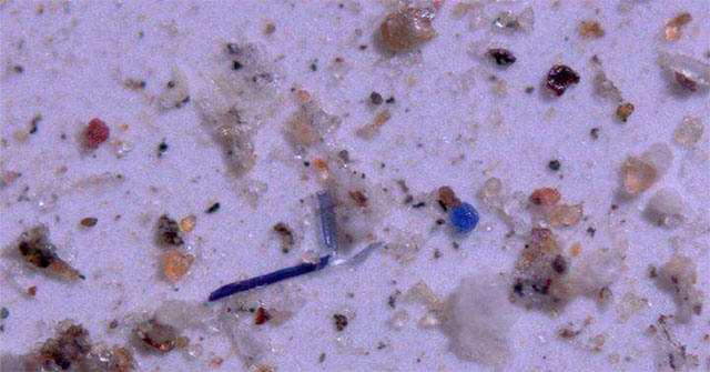 Rains pour 1,000 tons of plastic into the United States each year