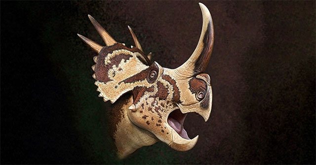 Scientists find a new unknown dinosaur horned genus