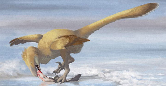 Scientists uncover the secret to helping birds escape a mass extinction