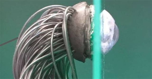 Successful fabrication of biological eyes