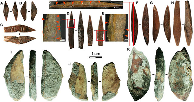 The 48,000-year-old arrowhead is detected by animal bones