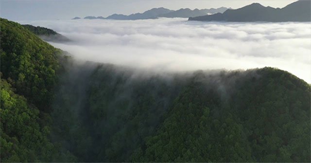 The clouds are rolling 'flowing' from the top of the mountain, which is 3,000 meters high like a waterfall