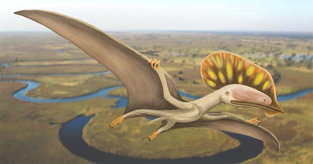 The first rare fossils found from the winged lizard