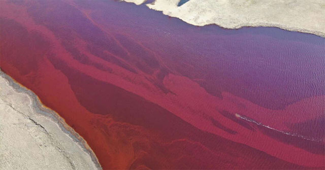 The heartbreaking truth behind the image of the arctic river dyed red like blood