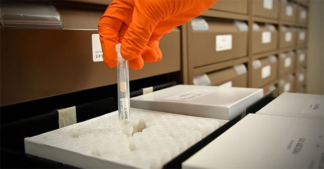 The museum stores 6,000 dangerous bacteria