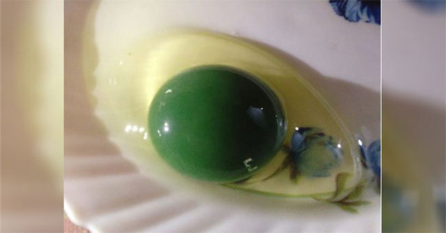 The netizens were stunned by the green egg with the yolk