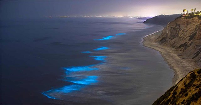 The rare sight is overwhelming on the California coast