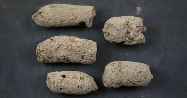 This is a way to tell if a '7,000 year old manure' belongs to a dog or prehistoric person