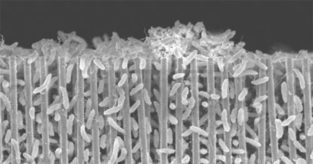 This is how humans can build life from nothing on Mars