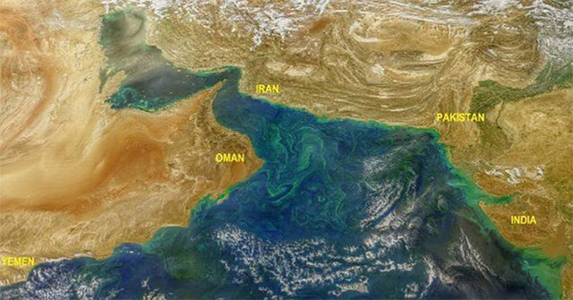 Toxic algae blooming on the Arab Sea